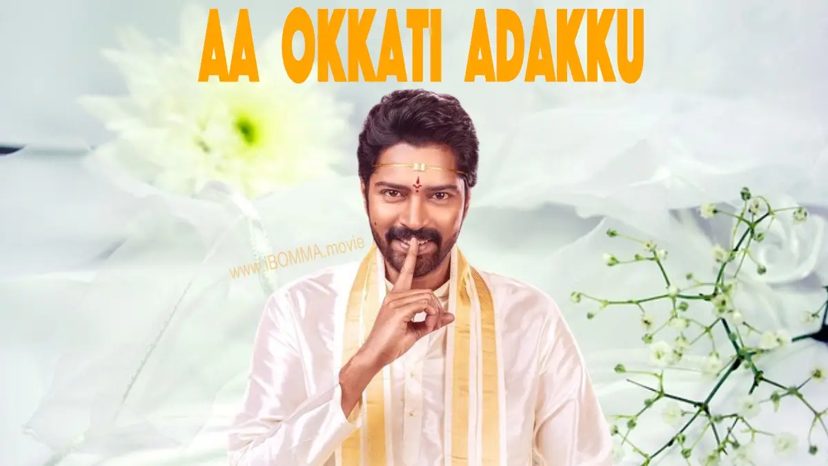 Aa Okkati Adakku movie