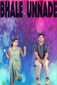 Bhale Unnade movie review